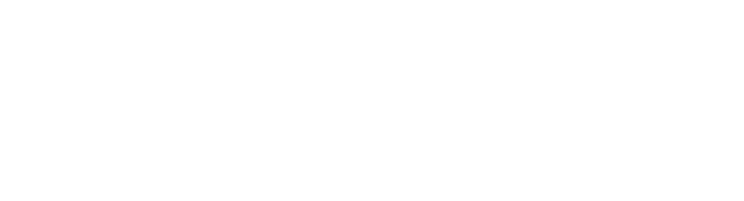 Vexor Designs - Strony Internetowe